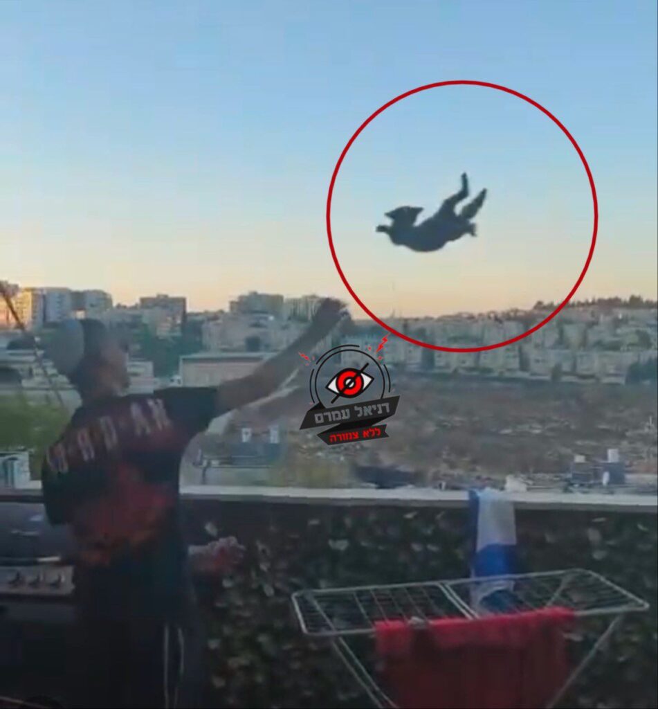 20250123 0840565717394295024533952 951x1024 2