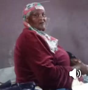 fb img 17358141688703657378611514797712 2