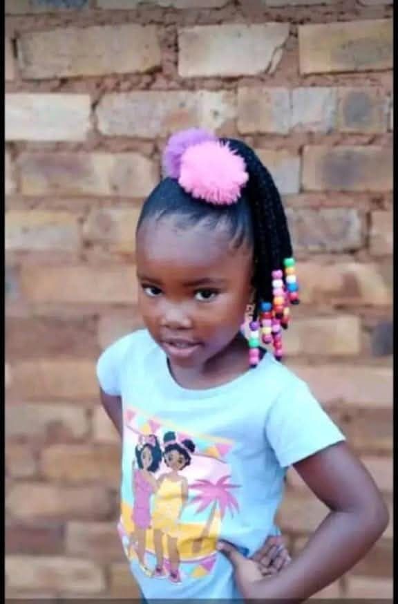 Photo: Tabloid Confirmed 5-Year-Old Girl Was Raped As She Got Stabbed To Death In Bluegum View, Duduza 1 fb img 17358500811911053726081081079520 2