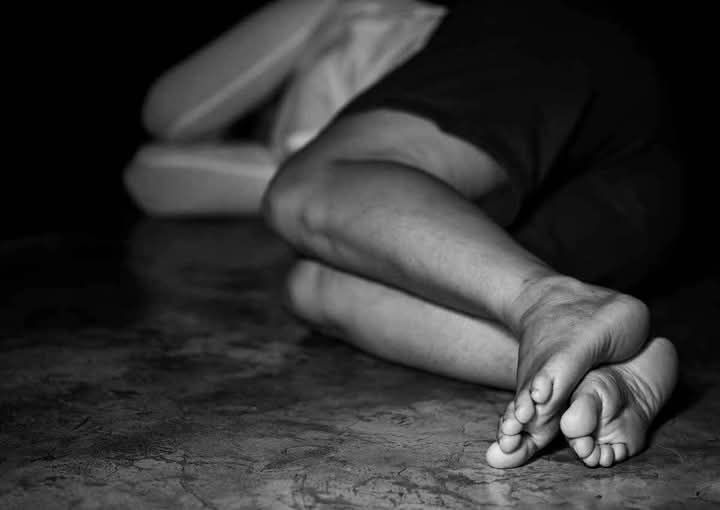 fb img 17367604949186387275560589815768 2