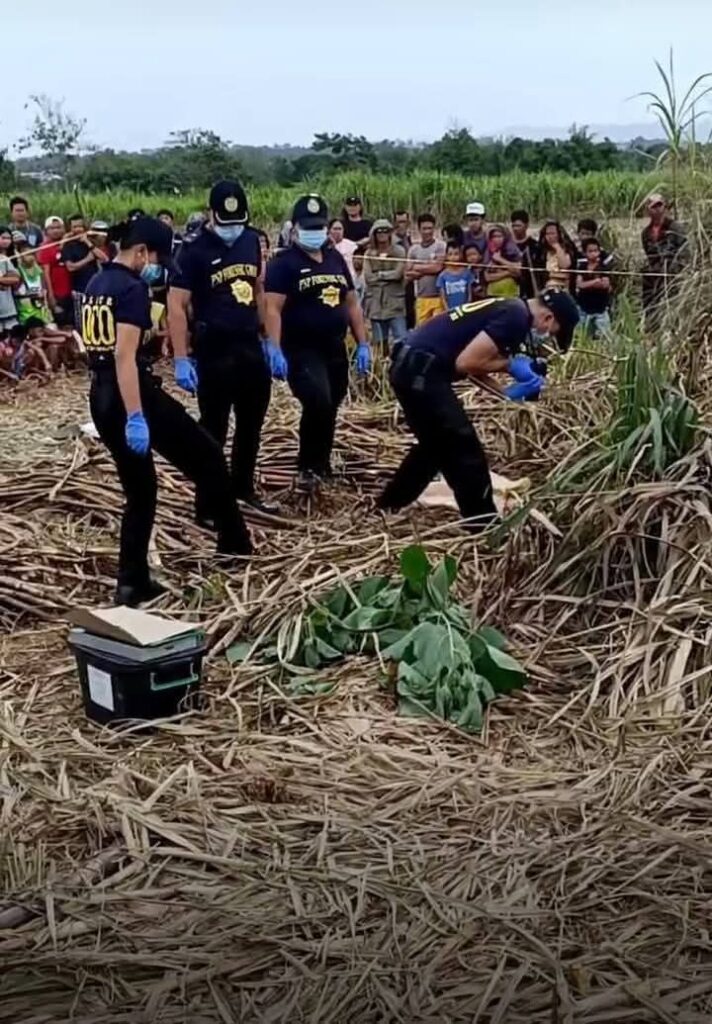 fb img 17368583174745006436008636750333 712x1024 2