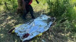 fb img 17368584504972010932674307811506 300x169 2