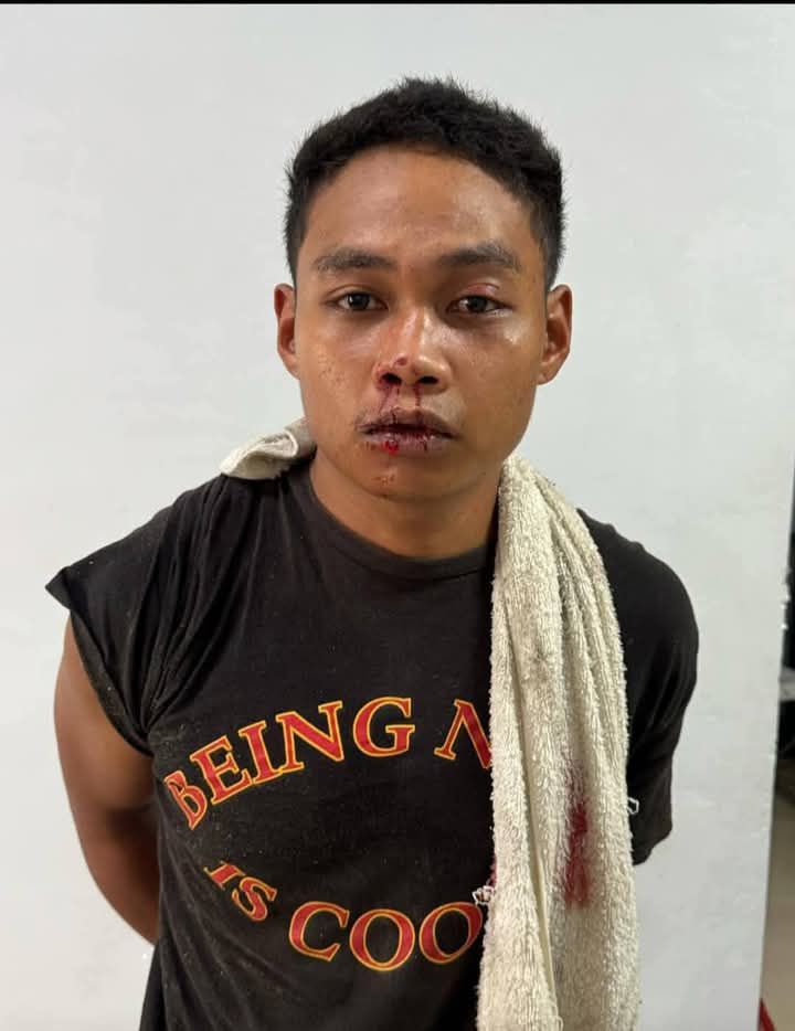 fb img 17382244648734347821286152289192