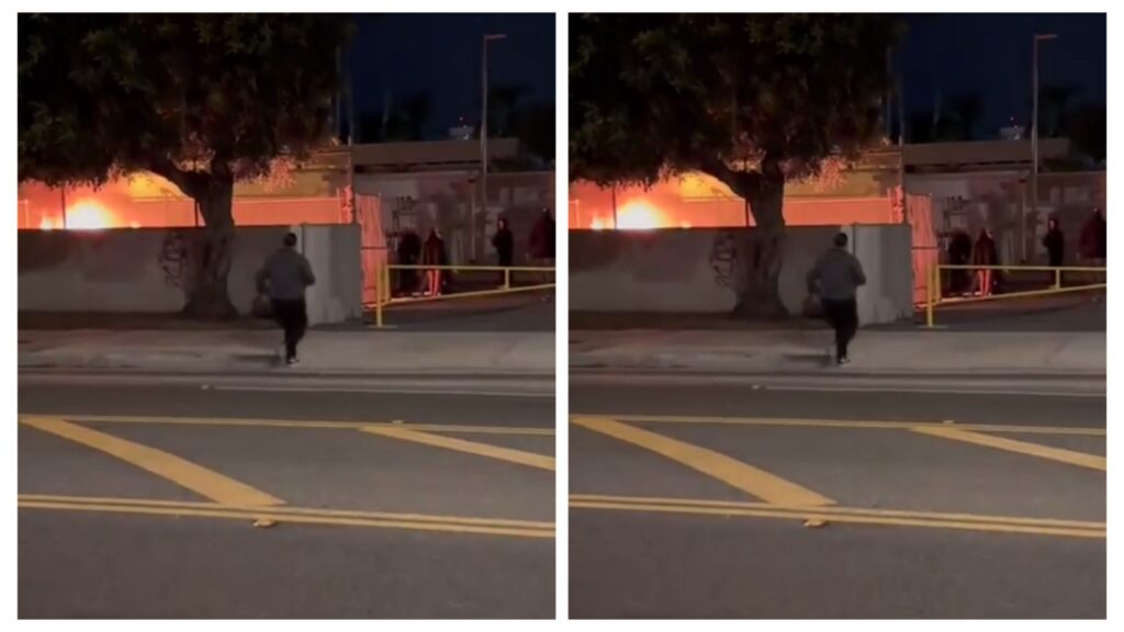 Video: Outrage As Arsonists Are Lighting Fires On Trees Of Flats In Different Buildings In 302 Pico Street In Santa Monica 5 incollage 20250109 0754157954865287950836885212 1024x576 2