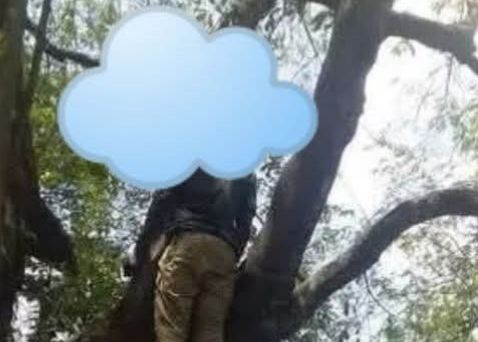 Photo: Man Committed Suicide While Hanging On A Tree In Daveyton 1 incollage 20250111 1113359943936509433636240843 2