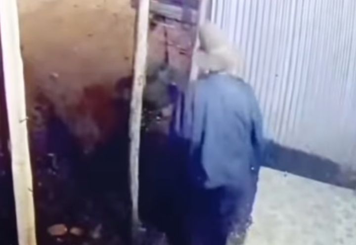 incollage 20250111 2009150396156342037484292819 2