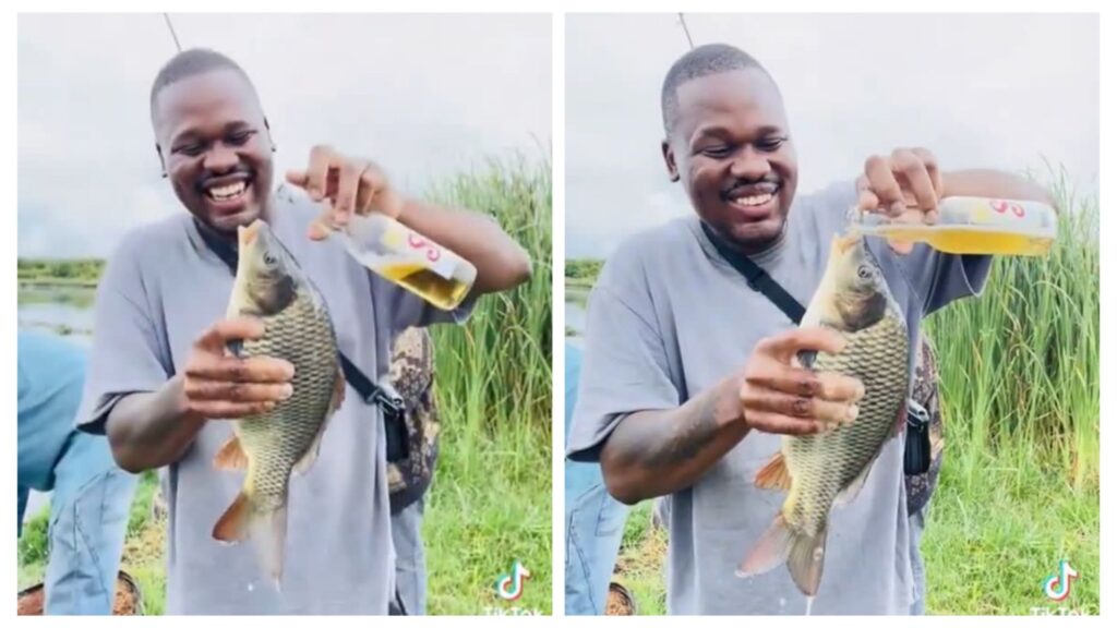 incollage 20250114 1926410524978221985408768347 1024x576 2