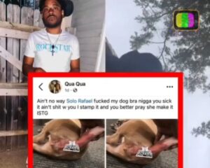 Video: Solo Rafael Exposed After He Fucked A Dog 1 incollage 20250121 080348107344249231745557370 300x240 2