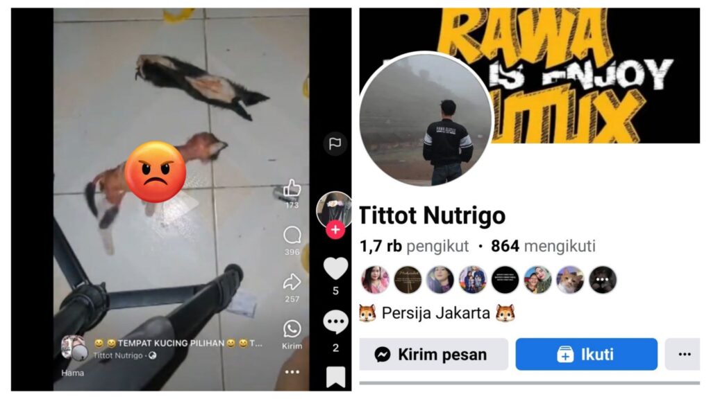 incollage 20250125 0712588051805852265800727837 1024x576 2