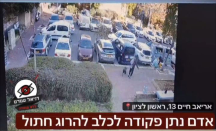 Video: Man Gave Order To His Dog To Kill A Cat In Rishon Lezion 1 incollage 20250129 1428423027649658499916289101 2