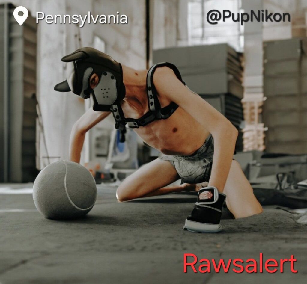 Photo: Journalist Confirmed Pupnikon Hunter R Is The Gay Man Who Is The Owner Of Rawsalerts Known For His Alt Puppy Fetish Account On Twitter 1 20250220 13105038741752897565237 1024x948 2
