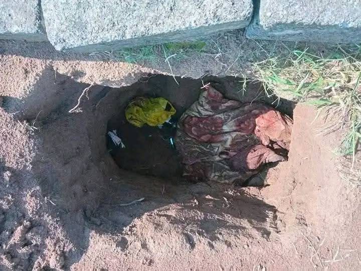 fb img 17386540498479136448062739417408 2