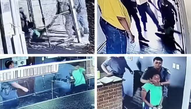 fb img 17386809260831204147877226782446 2