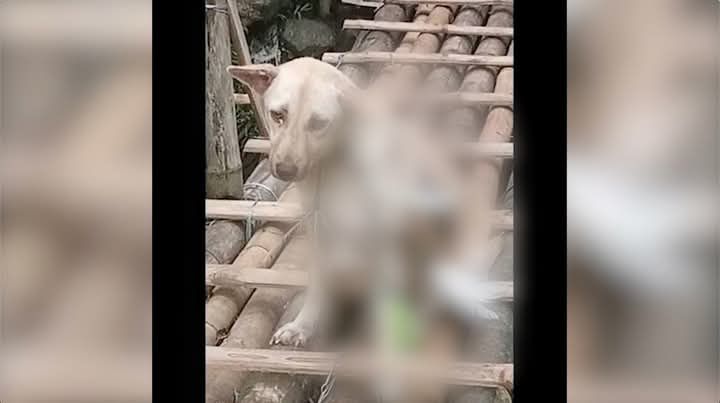 fb img 17405821173957952206283478877419 2