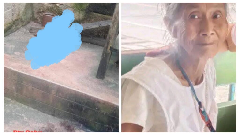 Photo: Grandmother, Nanay Miguela, Beheaded In Brgy Candabong 1 incollage 20250201 1019419962779651476356133344 1024x576 2