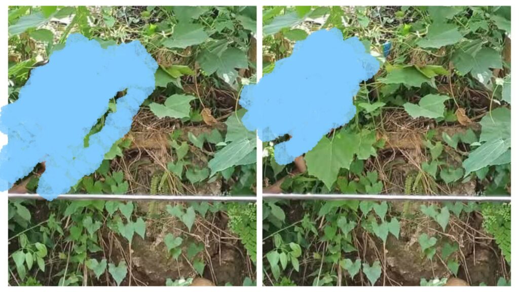 Photo: Tributes Rolling In As Tricycle Driver, Jeffrey Delantar, Shot Dead With 5 Bullets While Stumbling Against An Acacia Tree In Purok Tubig, Talisay City 1 incollage 20250201 1530561772521144406594457388 1024x576 2