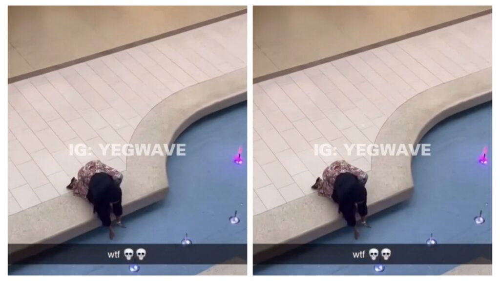 incollage 20250216 1932194712437554016765640094 1024x576 2