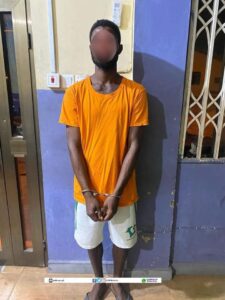 fb img 17428581013287819786551529752178 225x300 2