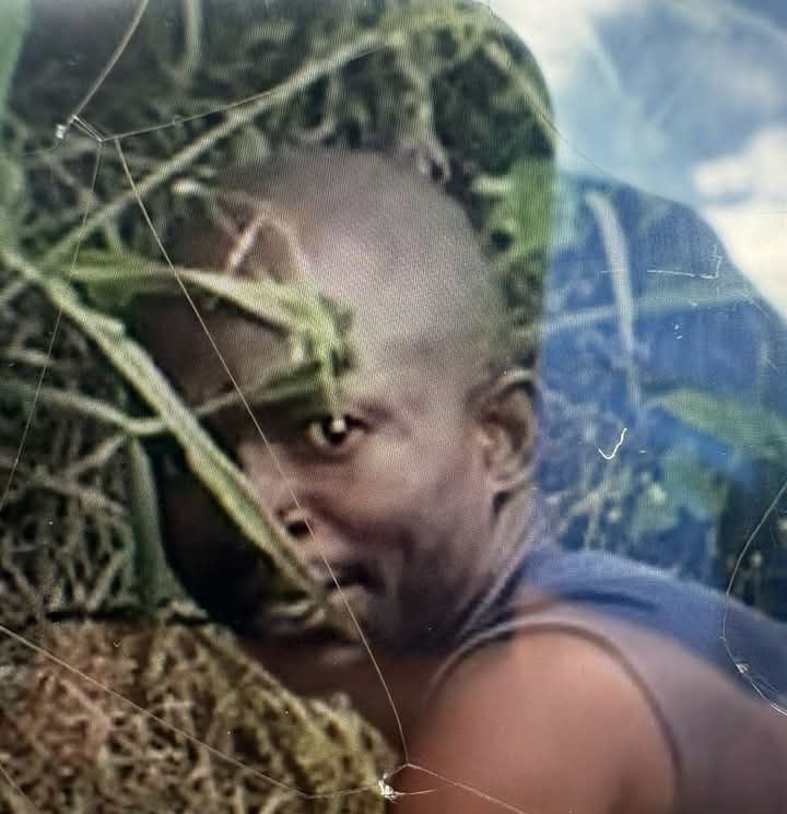 fb img 17431823866419076708613498434315 2