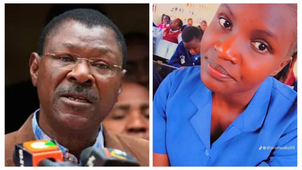 incollage 20250306 1135482633858990658771984610 1024x576 2