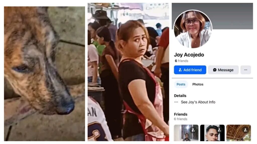 Photo: Joy Acojedo Is Another Account Of The Woman Who Killed Tiger The Animal Dog In Subic Market 1 incollage 20250327 1235526097881181074165363836 1024x576 2