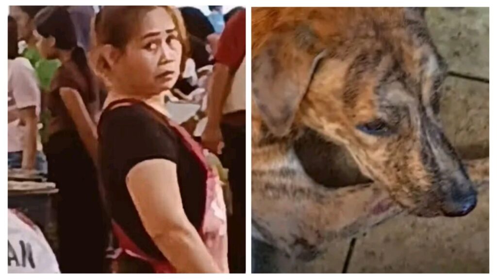 Video: Woman, Lyn Cruz, In Police Custody As Owner, Lindsay Sawyer, Confirmed Tiger The Dog Was Stabbed To Death By The Seller In Subic Market 10 incollage 20250328 220844501370212145812820786 1024x576 2