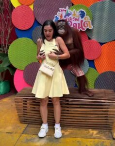 Video: Orangutan Grabbed Kris Bernal Breast As It Kissed Her Also During Visit At Safari World In Central Bangkok 1 17440170187706265367302253581334 237x300 2