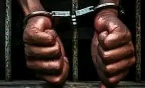 17443672546512879860972059634389 2