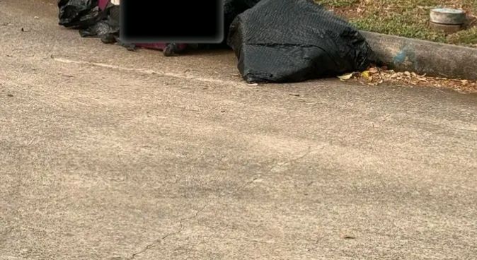 Photo: 3 Dead Goats Found In Suitcase In Shearn Elementary Near The Intersection Of Woodwind And Osby 1 incollage 20250405 0722158124450017447301013207 2