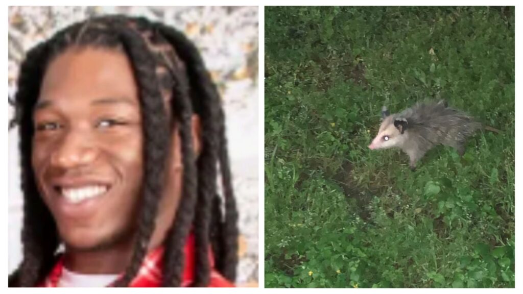 Video: Man, Hefe Hefe, With His Friends Killed A Possum As They Burned It To Death In Their Backyard 1 incollage 20250425 0440168734846534877809476956 1024x576 2