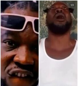 incollage 20250425 1736327363877144600296666946 274x300 2