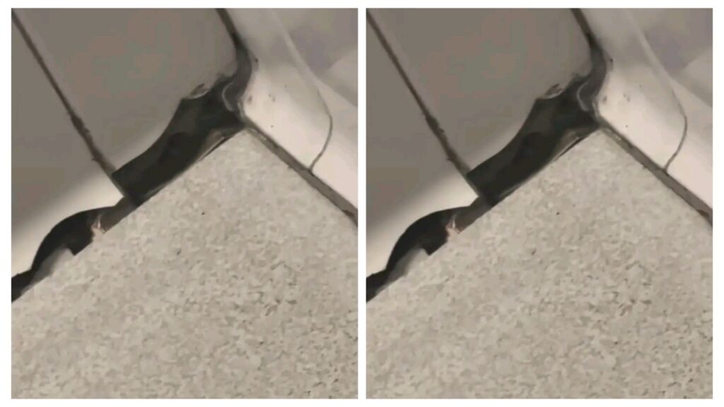 Video: Woman, Jasmine Love, Captured Eyes Of A Man Peeping Through The Hole At Girls Toilet In Galleria Movie Theater 1 incollage 20250427 220939846849419779567884315 1024x576 2