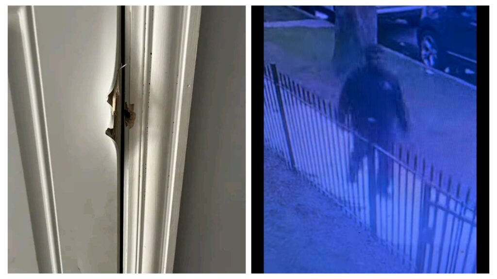 Video: Woman, Aisha Fowler, Shared Cctv Of Man, Tyrone Gray, Stalking Her To Unalive Her In Her Apartment 1 incollage 20250428 2142266583106578721468791780 1024x576 2