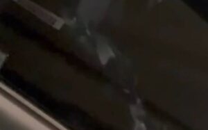 incollage 20250609 1006228473522276978188078000 300x187 2