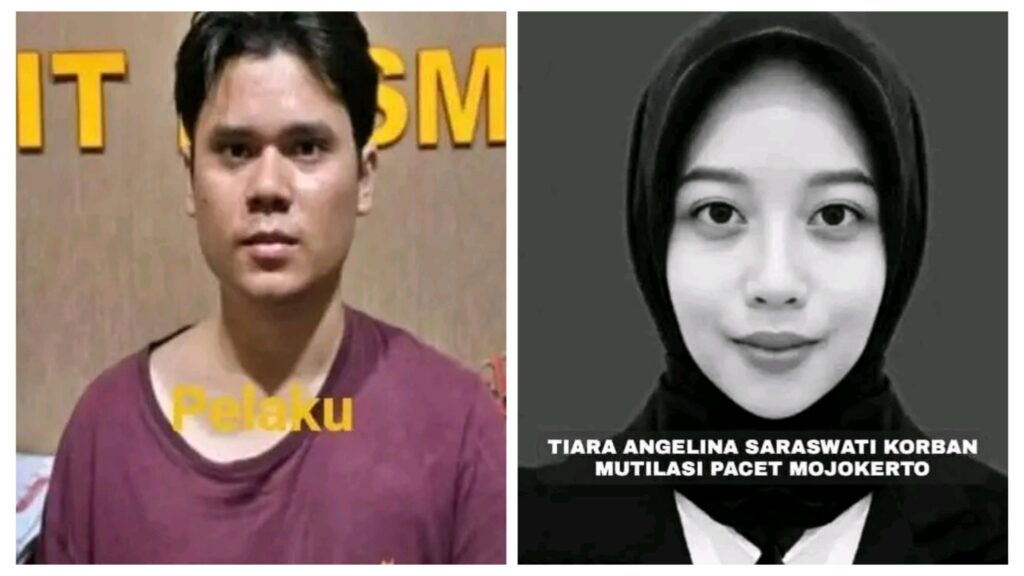 incollage 20250908 1423410573296362260533368201 1024x576 2