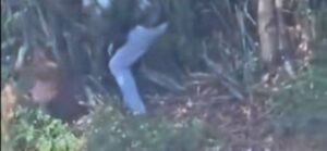 Video: Jamaican Man From Kmft Beating His Wife With A Machete In Trelawny 1 incollage 20250920 0143305892365426260818703250 300x139 2