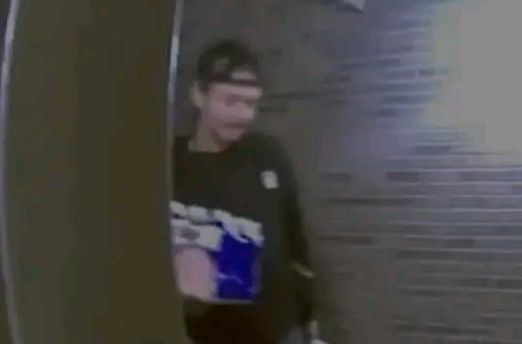 incollage 20251104 2347049544003428955790191637 2