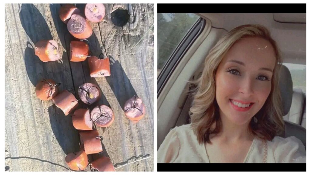 Video: Paige Alexandra Brock Exposed For Using Fish Hooks To Kill Her Neighbors Dogs In Bogue Chitto 3 incollage 20251117 0024581907431493297778546134 1024x576 2