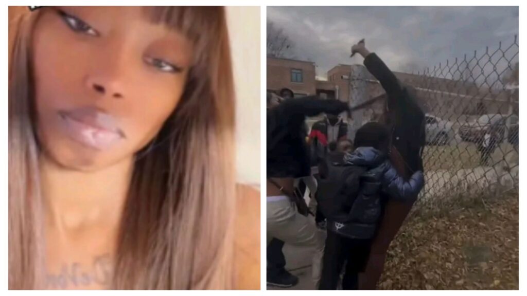 incollage 20251118 1113243532788194452528965787 1024x576 2