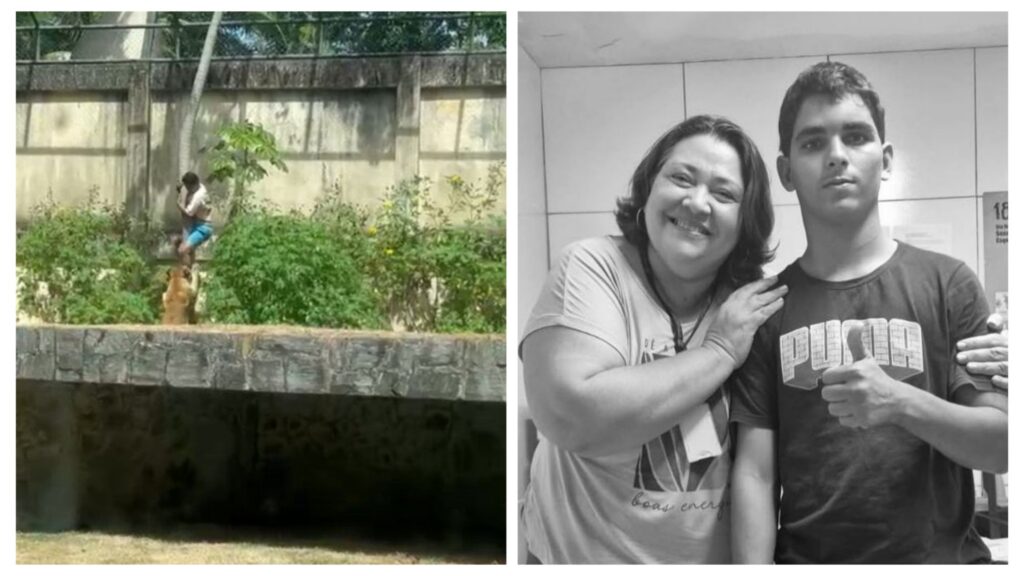 Video: Lion Has Killed Man, Gerson De Melo Machado, Who Jumped Into Zoo In João Pessoa 1 incollage 20251201 0903324163795998135604691575