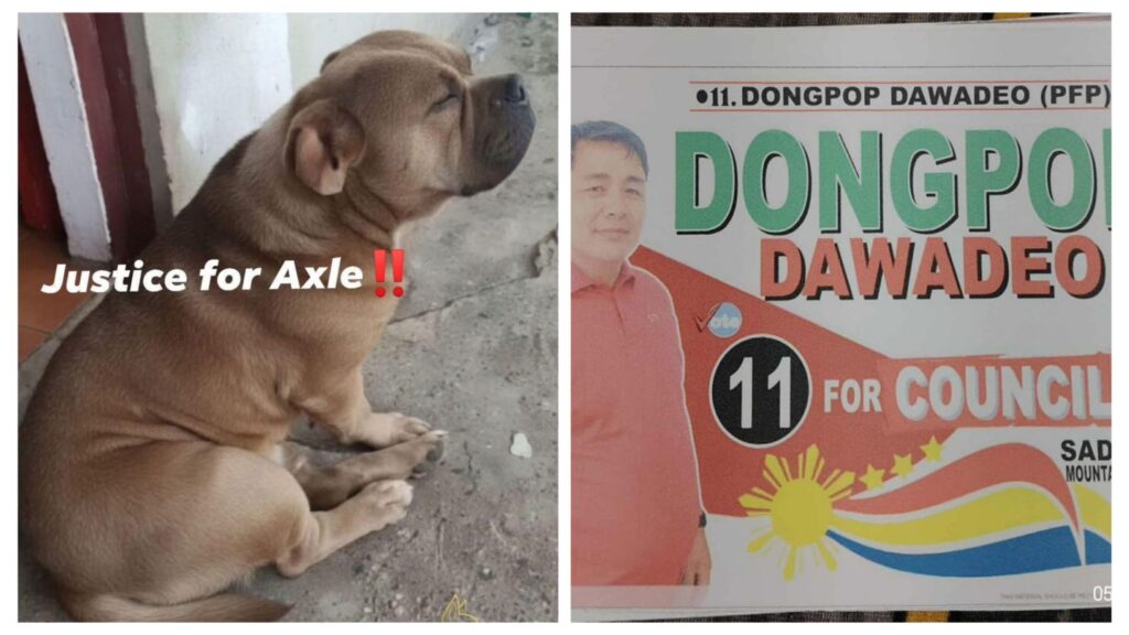 incollage 20251208 2008175985325266964722693086 1024x576 2